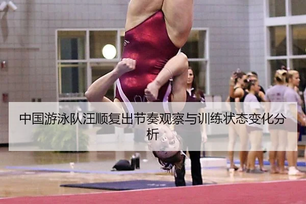 中国游泳队汪顺复出节奏观察与训练状态变化分析